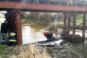 Zrzucił psa z mostu! Został zatrzymany