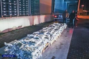 [VIDEO] Marihuana trafiła do Polski z Kalafiorami