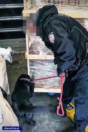 [VIDEO] Zlikwidowany szlak przemytu marihuany z Hiszpanii we współpracy z francuskimi służbami