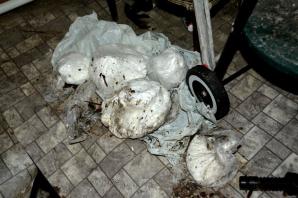 Zabezpieczono narkotyki