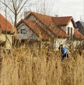 [VIDEO] Nielegalne składowisko śmieci na środku osiedla w podwrocławskim Smolcu! Zagrożenie zdrowia i życia a służby bezradne!