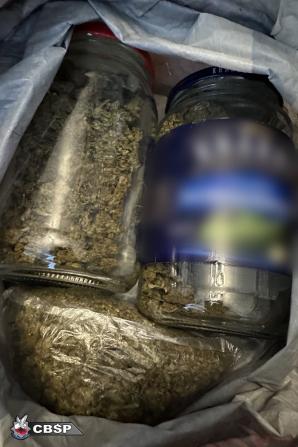 [VIDEO] Narkogang o charakterze zbrojnym rozbity