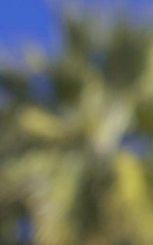 Firmy kurierskie inwestują w roboty. DHL testuje drony, które mogą przyspieszyć czas dostawy