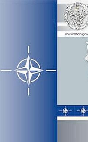 Powitanie Batalionowej Grupy Bojowej NATO 