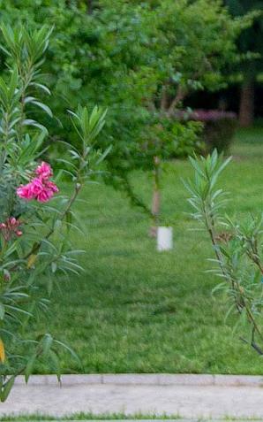Premier Beata Szydło: Duże zainteresowanie współpracą z Polską