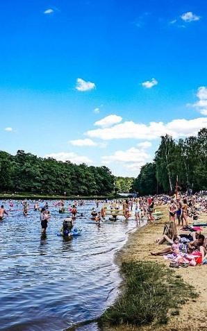  Rekultywacja Arturówka otrzymała prestiżową nagrodę 