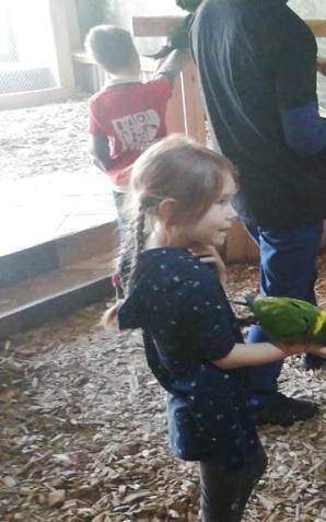 [VIDEO] Patriot24 zwiedza z Alą: wizyta w papugarni we Wrocławiu