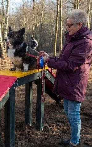 Psi Park na łódzkim Widzewie