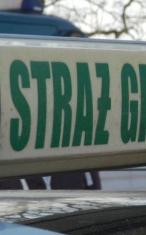 Zatrzymano Rosjankę poszukiwana przez Interpol