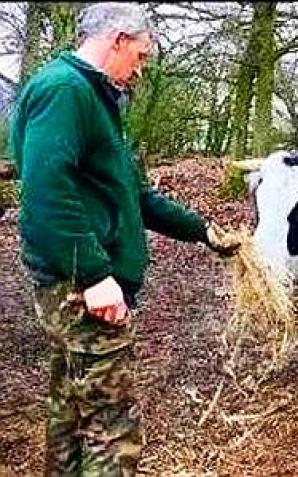 [VIDEO] 423 000 zł od Skarbu Państwa domaga się rolnik Grzegorz Piotrowski spod Gorzowa Wlkp. Za finansowy chaos, do którego doprowadziła wobec niego i 200 sztuk bydła Izabela Kwiatkowska, szefowa Biura Ochrony Zwierząt z Zielonej Góry!