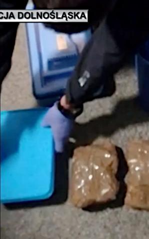 [VIDEO] Policjanci zabezpieczyli ponad 20 kg narkotyków o czarnorynkowej wartości 1 mln zł