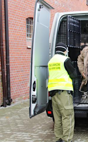 Imigranci z Afganistanu w transporcie świątecznych choinek nielegalnie przekroczyli granicę z Czech do Polski 