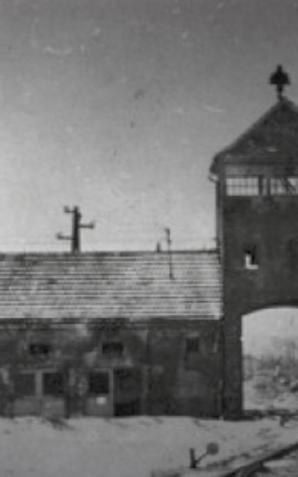 78. rocznica wyzwolenia niemieckiego obozu Auschwitz-Birkenau