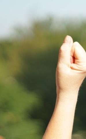 Groził śmiercią ministrowi zdrowia. Ujęty w Poznaniu