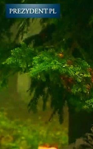 [VIDEO]  Na terenie Nadleśnictwa Suchedniów Prezydent RP Andrzej Duda wraz z Małżonką Agatą Kornhauser-Dudą wzięli udział w V edycji ogólnopolskiej akcji sadzenia drzew #sadziMY