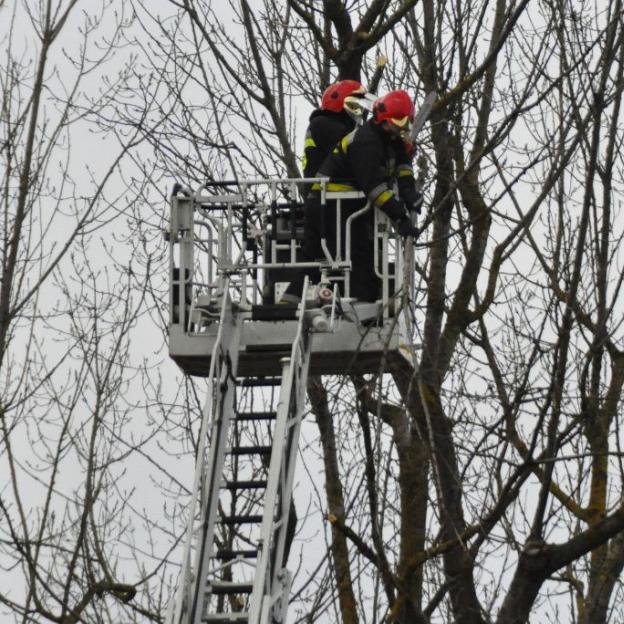 Silny wiatr na terenie kraju. Strażacy walczą ze skutkami Orkanu Barbara