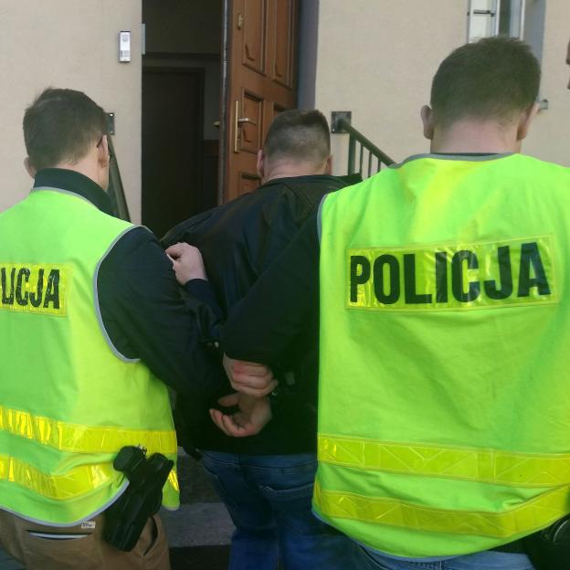 Nowe Miasto Lub.: Aresztowany kierowca, który spowodował śmiertelny wypadek w Łąkorzu