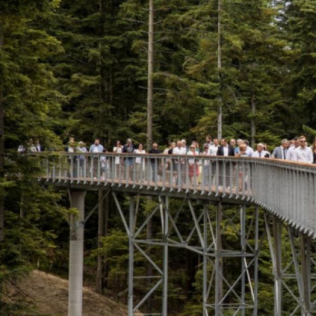 Spacer w koronach drzew - nowa atrakcja turystyczna w Ciężkowicach współfinansowana 17 mln zł z funduszy UE