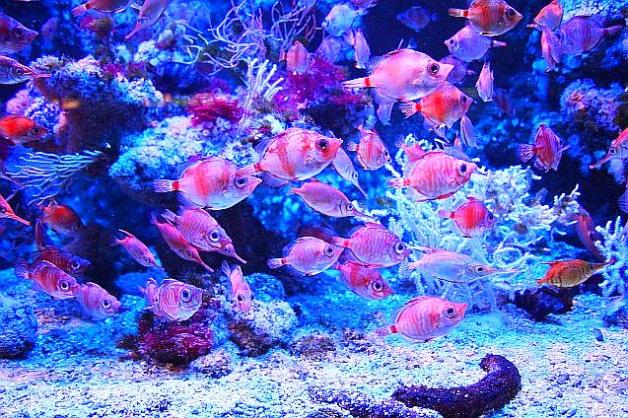 Dziwaczne miejsca noclegowe – do wyboru, do koloru