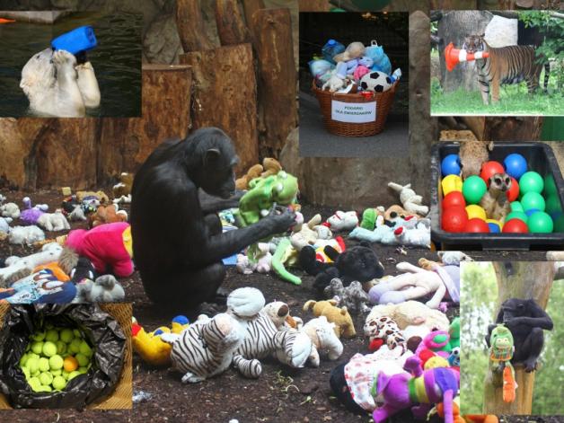 Wtorki „dniem zabawek” w warszawskim zoo