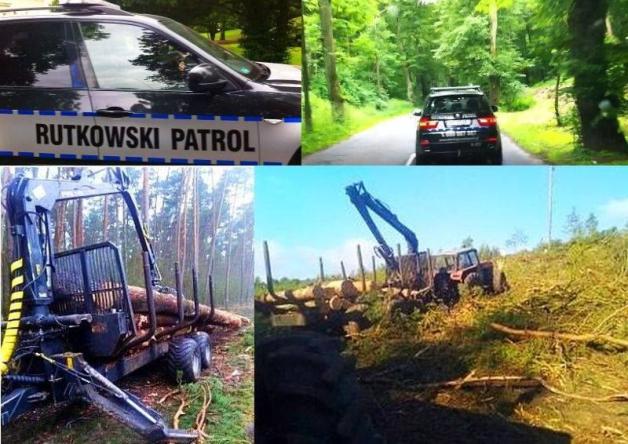 [VIDEO] Ludzie Rutkowskiego przeczesują lasy w poszukiwaniu skradzionych, tydzień temu w Bydgoszczy, maszyn do wycinki drzew