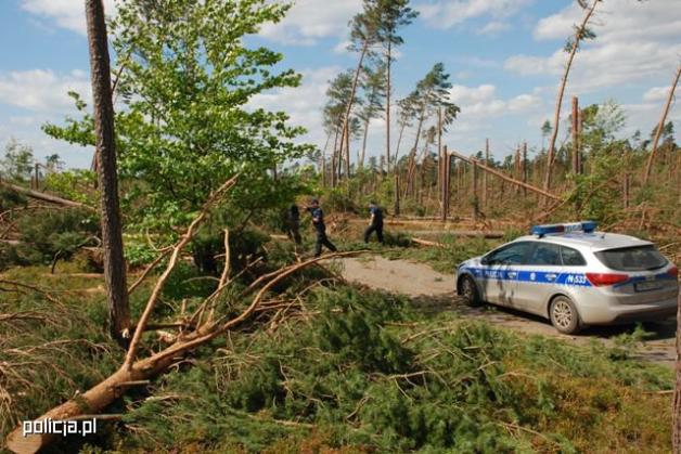 Podsumowanie działań po przejściu nawałnicy przez Pomorze
