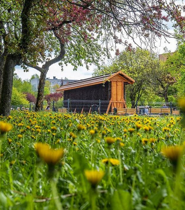 Majówka z tężniami i fontannami