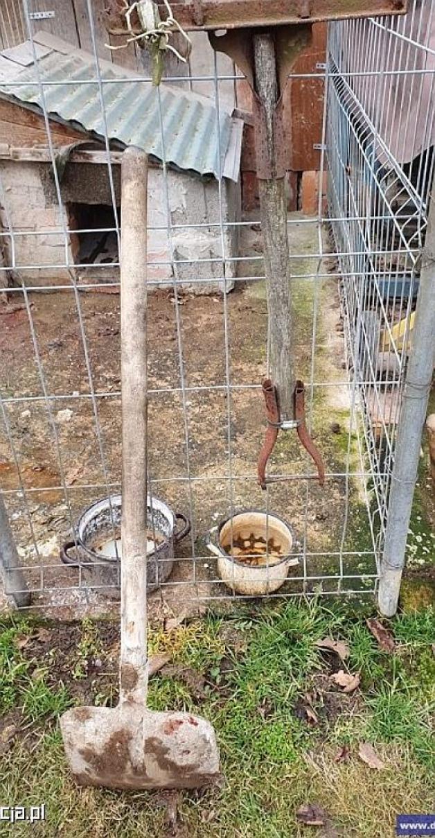 [VIDEO] Areszt dla mężczyzny podejrzanego o zabicie psa