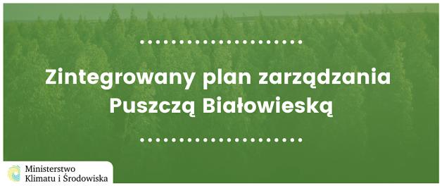 Kolejny krok do ratowania Puszczy Białowieskiej. Ruszają prace nad zintegrowanym planem zarządzania