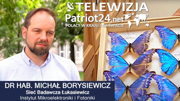[VIDEO] Motyle inspirują naukowców! Powstaje materiał, który ochłodzi budynki i pomoże w kosmosie
